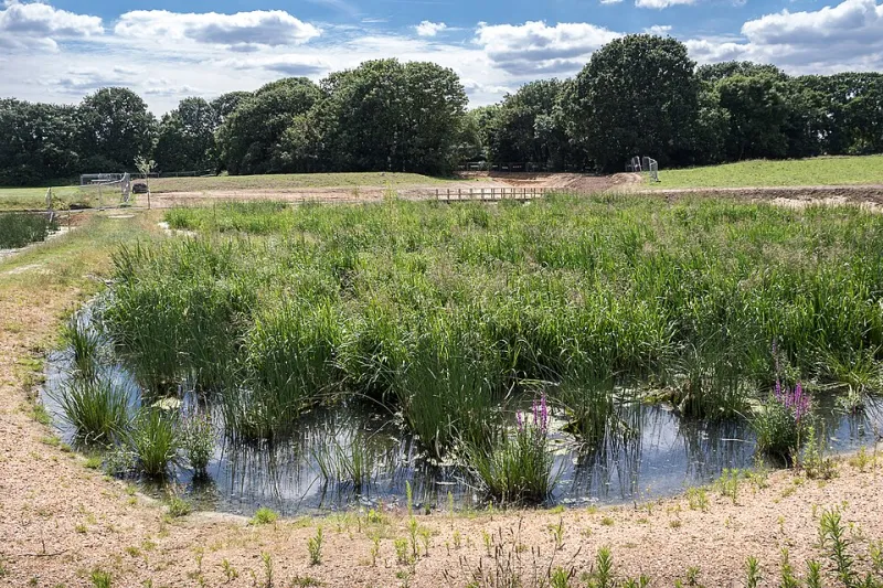 The Ditch That Became a Jurisdiction: Rebuilding Site Plans After Wetland Rules Shift