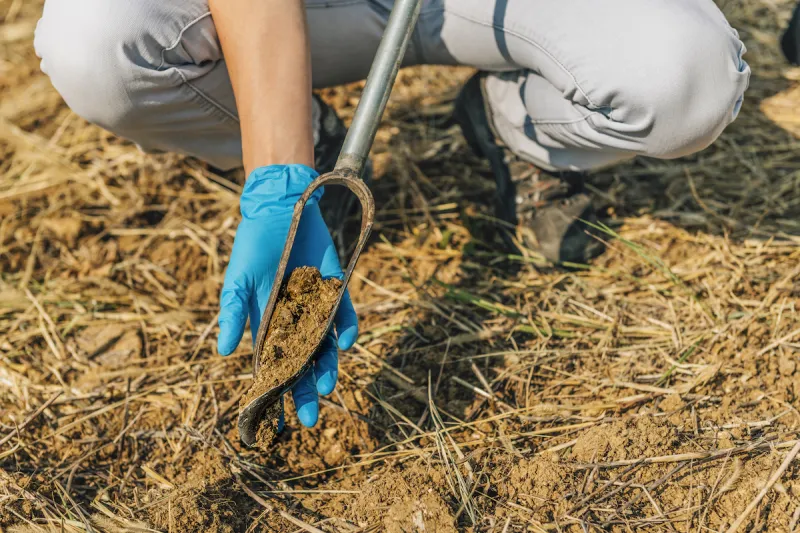 Phase I or Phase II? Inside the Environmental Site Assessment Process Lenders Don't Always Explain